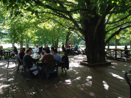 DA Advanced Training Retreat Hybrid Pod Accommodations - November 14-22, 2026 - Image 3