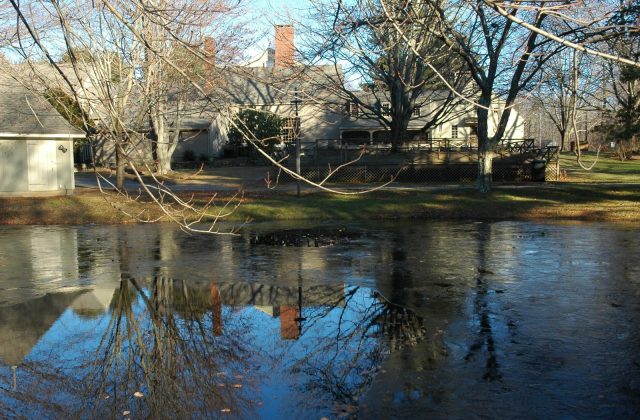 Pond high res